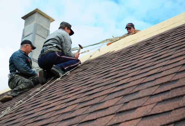 Roof Gutter Cleaning in Jennings Lodge, OR